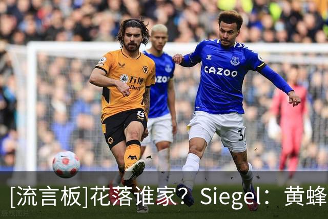 [流言板]花落谁家？Siegel：黄蜂已经正式裁掉了瑞安-内姆布哈德